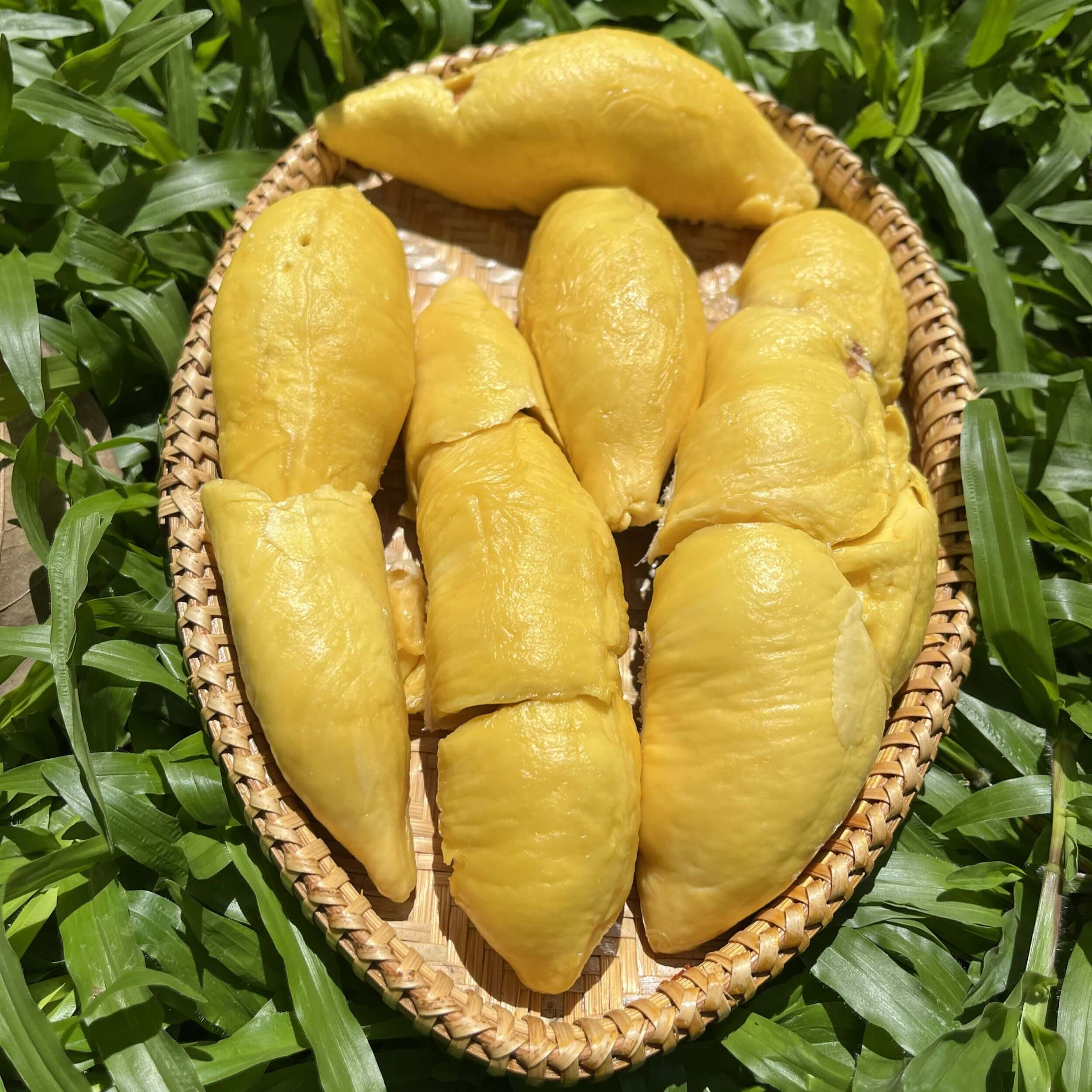 Sầu riêng béo bùi